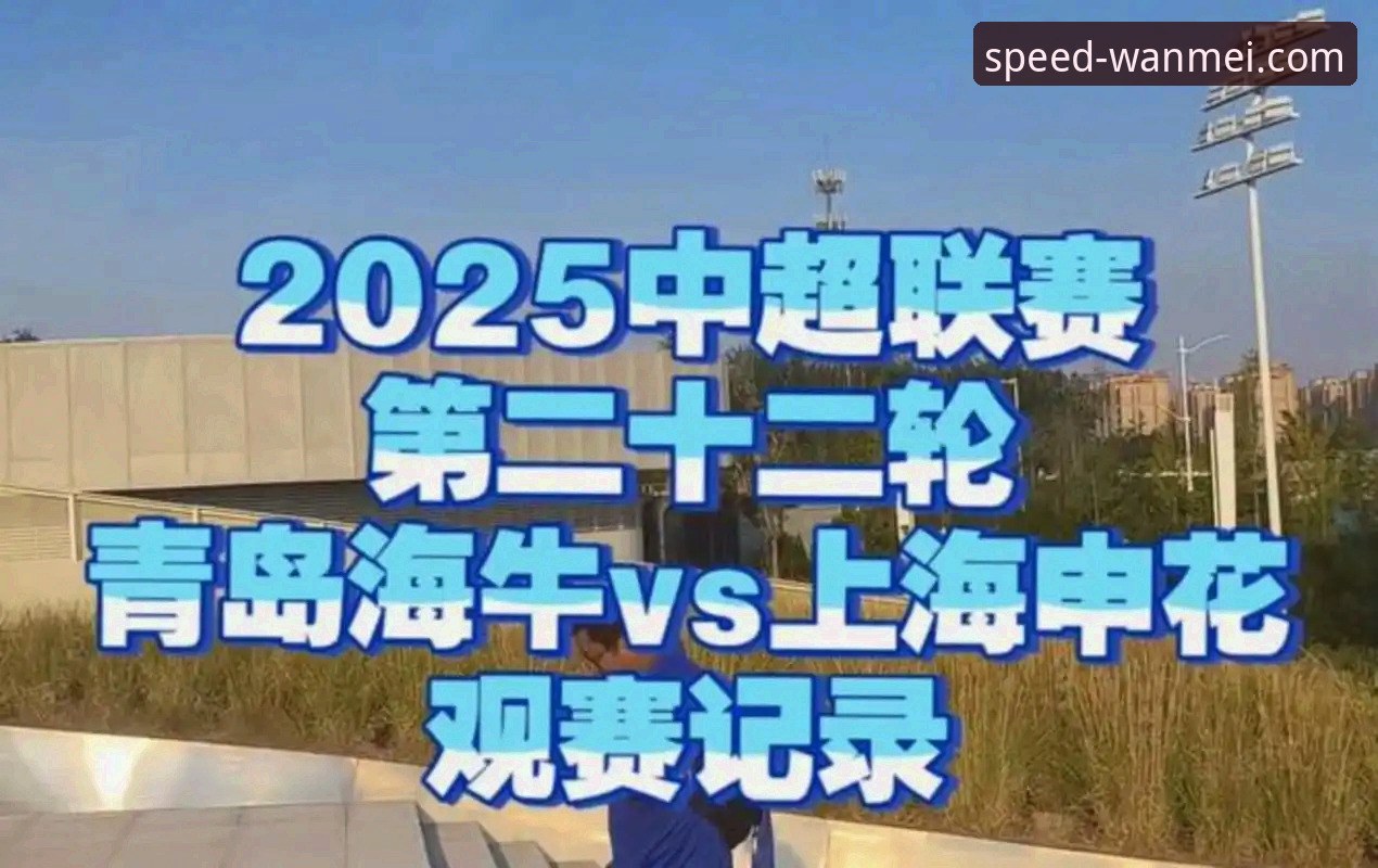 完美体育app官网入口使用指南 青岛海牛3-1击败上海海港赛事回顾与完美体育App观赛体验